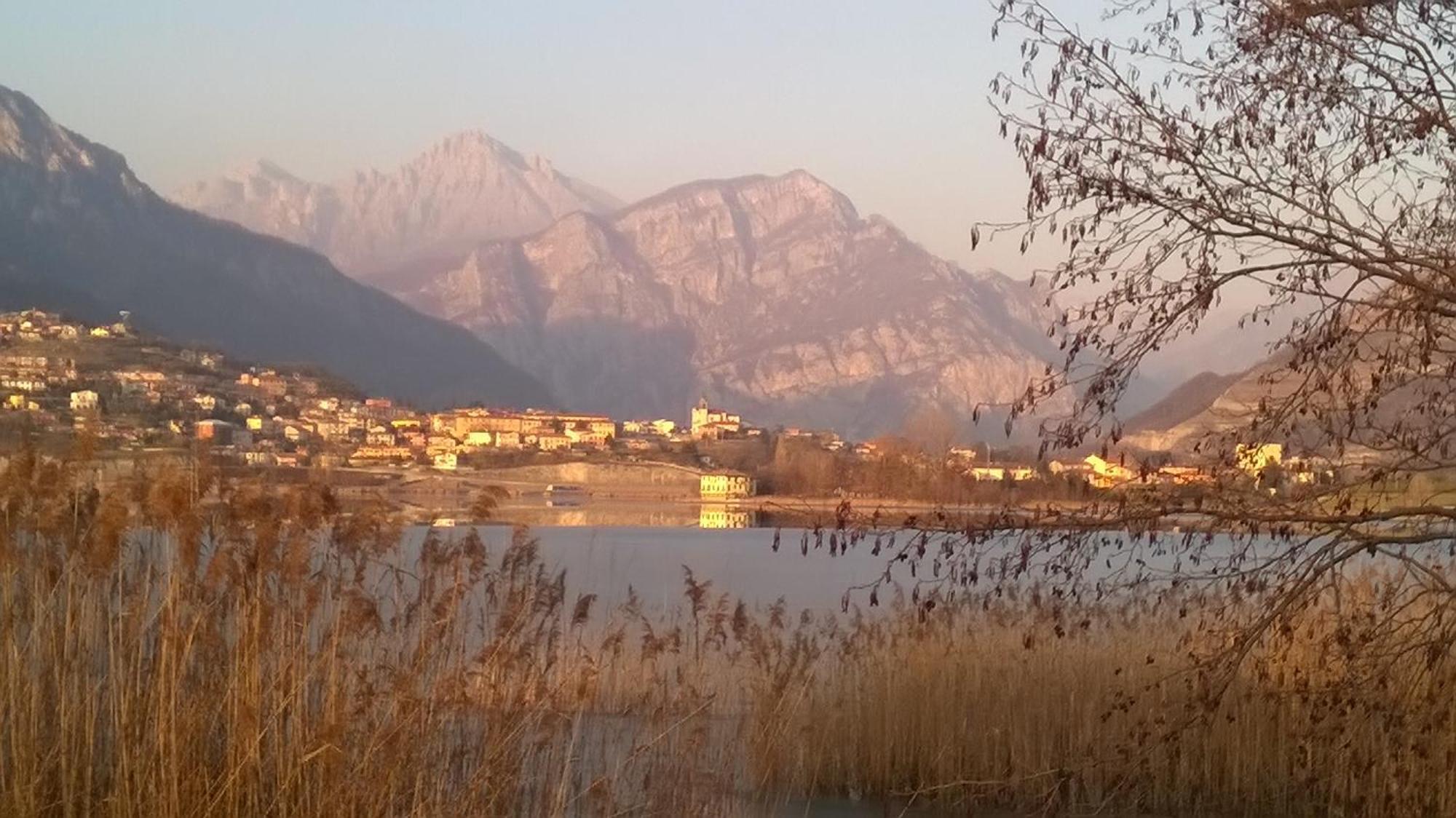 B&B Leon D'Oro Pusiano Εξωτερικό φωτογραφία