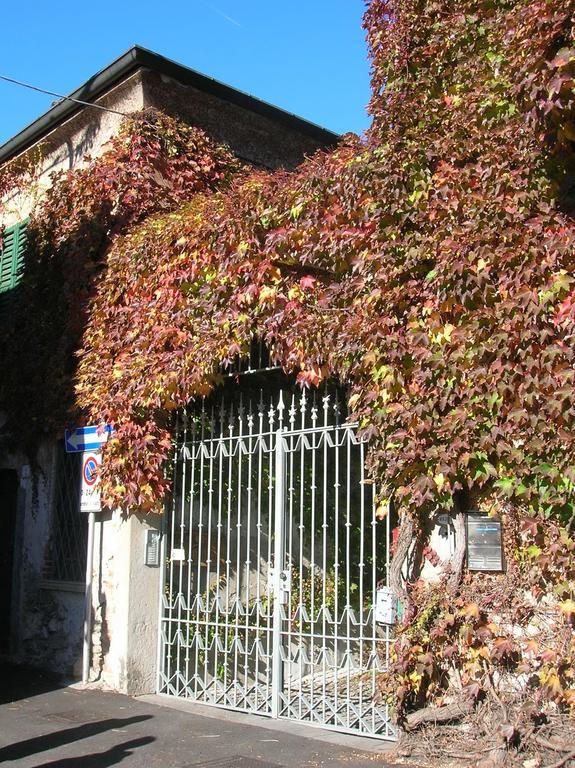 B&B Leon D'Oro Pusiano Δωμάτιο φωτογραφία